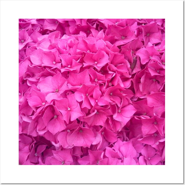 Pink Hydrangeas 2 Wall Art by Orchyd